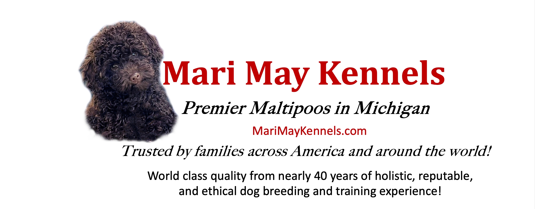 Mari May Kennels, Michigan, Maltipoos